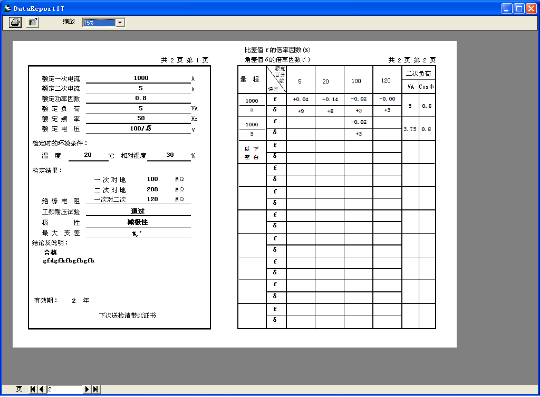 全自动互感器校验装置软件打印界面